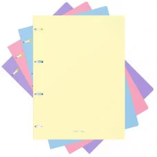 Тетрадь общая с пластиковой обложкой на кольцах ErichKrause Pastel, ассорти, А4, 80 листов, клетка 1шт 50165