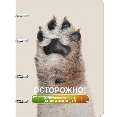 Тетрадь (студ., офис) А5 100л "Дай пять!" КанцЭксмо ТК2Л1005189