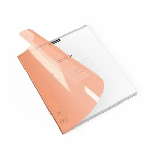 Тетрадь школьная ученическая с пластиковой обложкой на скобе ErichKrause Классика CoverPrо Neon fizzy оранжевый А5+ 18 листов линейка, 1шт 56369