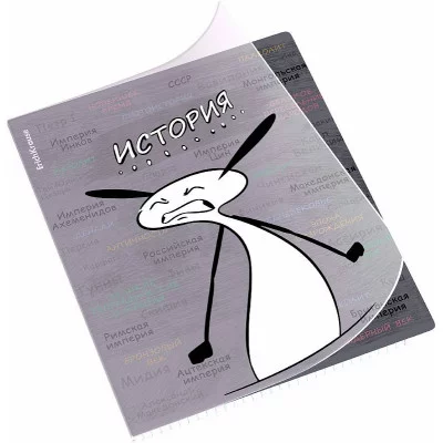 Тетрадь общая ученическая с пластиковой обложкой на скобе ErichKrause Чубрик, История, 48 листов, клетка 59476