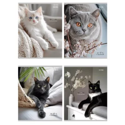 Тетрадь КЛЕТКА 96л. РАЗНЫЕ ДОМАШНИЕ КОТЫ (96-4319) (цвет.мелов.обл.) 96-4319