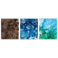 Тетрадь А5 96л "Красота в деталях" КанцЭксмо ТК968544