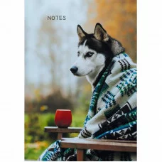 Книга для записей А5 100л Осенний друг КанцЭксмо КЗ51003499