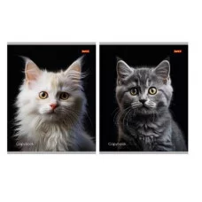 Тетрадь КЛЕТКА 36л. ПОРТРЕТНОЕ ФОТО КОТА (36-5766) (обл.- мелов. картон, второй блок) 36-5766