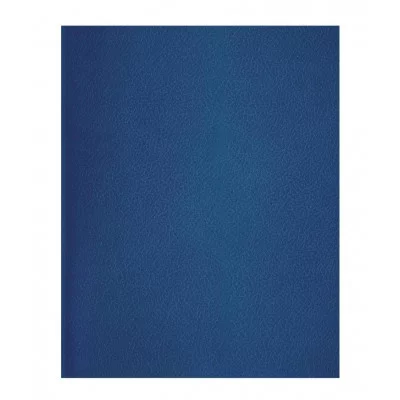 Тетрадь 96л., А4 линия BG, бумвинил, синий 357618