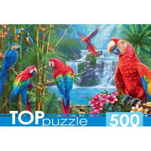 TOPpuzzle. ПАЗЛЫ 500 элементов. ЯРКИЕ ПОПУГАИ (Арт.ХТП500-6975)