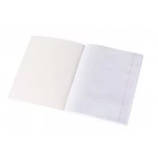 Тетрадь 36л., А5, клетка, Alingar "Crazy fruits", скрепка, мелованный картон (стандарт) , блок офсет AL10357