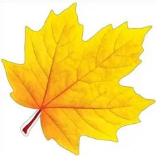 Украшение на скотче "Лист клёна жёлтый" 3001297