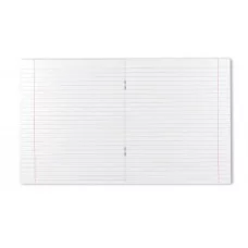 Тетрадь школьная ученическая ErichKrause Классика Visio зеленая 12 листов линейка 40004