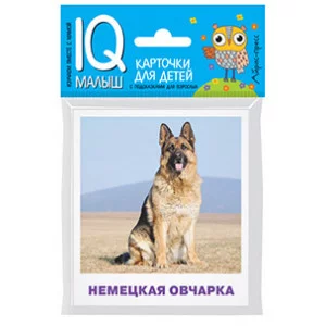 Умный малыш. Породы собак Набор карточек для детей. / IQ-малыш изд-во: Айрис авт:Малунова М.В.