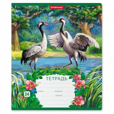 Тетрадь 24л линейка "Экзотические птицы" ERICH KRAUSE 46611 022631