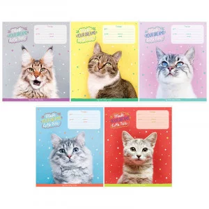 Тетрадь 18л., линия ArtSpace "Питомцы. Funny cats", эконом 333239