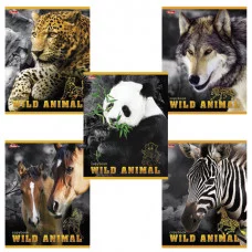 Тетрадь 24л., линия Hatber "Мир животных" Хатбер 186871