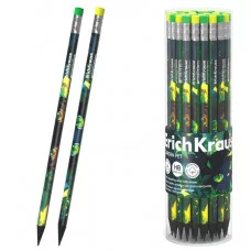 Чернографитный карандаш пластиковый ErichKrause Garden Pet трехгранный с ластиком НВ  62772
