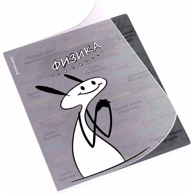 Тетрадь общая ученическая с пластиковой обложкой на скобе ErichKrause Чубрик, Физика, 48 листов, клетка 59472