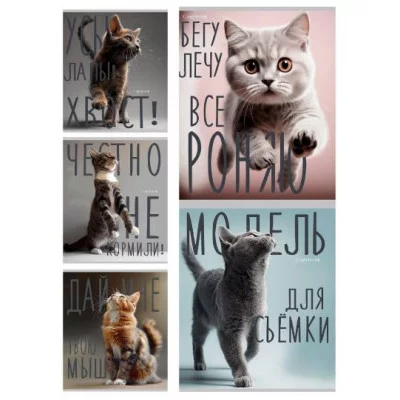 Тетрадь КЛЕТКА 96л.КОТИКИ И НАДПИСИ (96-8847)(цв.мелов.обл.),,лен+серебро 96-8847