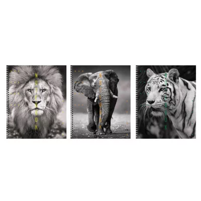 Тетрадь А5 96л "Дикие и прекрасные " КанцЭксмо ТС968554