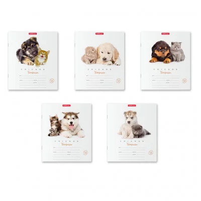 Тетрадь 12л линейка мелов "Дружба" ERICH KRAUSE 42546 021869