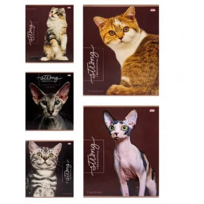 Тетрадь КЛЕТКА 48л. БЛАГОРОДНЫЕ КОШКИ (48-9380) твин-лак, цвет.мелов.обл. 48-9380