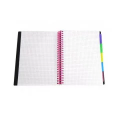 Тетрадь 120л., А5, клетка, Alingar "Colledge ruled", цветная спираль, чёрная пластиковая обложка, цветные пластиковые разделители, ассорти AL10566