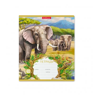 Тетрадь 12л линейка мелов "Саванна" ERICH KRAUSE 46549 022648