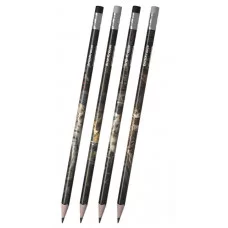 Чернографитный карандаш ErichKrause Big City Cats, трехгранный, с ластиком, НВ 62760