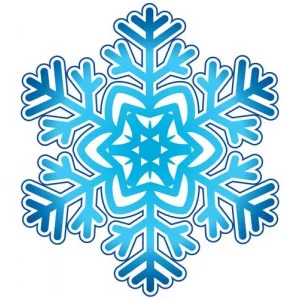 Снежинка 10-10.02-0046