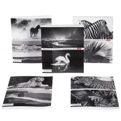 Тетрадь 60л клетка мелов "Вдохновение" 60г/м2 HATBER 60Т5В1 229864