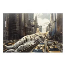 Папка-конверт на кнопке пластиковая ErichKrause Big City Cats, A4, ассорти 6351
