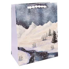 Dream cards Пакет подарочный с мат. лам. и мягкими  ручками и глиттером 18 x 23 x 10 см (M)  Сказочная зима, 210 г ПКП-3747