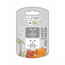 Набор ластиков. Прямоугольные с печатью. 2 шт. Блистер с европодвесом Капибара ЛП20036