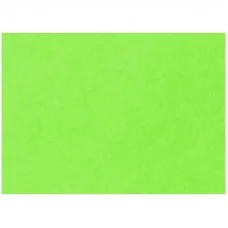 Картон цветной тонированный А4, Лилия Холдинг, 200г/м2, 1лист зелёный Лилия Холдинг 139703