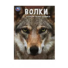 Волки В царстве лесных охотников Энциклопедия А4 с развивающими заданиями 48 стр Умка  978-5-506-06682-8