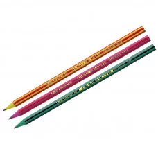 Карандаш ч/г Bic "Evolution Lines" HB, заточен., пластиковый Bic 212472