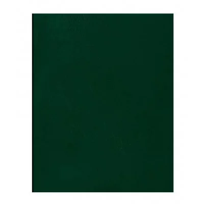 Тетрадь 96л., А4 клетка BG, бумвинил, зеленый, суперэконом 357620