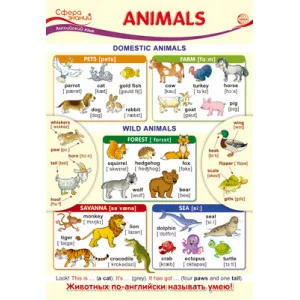 ПО-13437 Плакат А3. Английский язык в начальной школе. Animals (Животные) / Сфера знаний 4630112003574