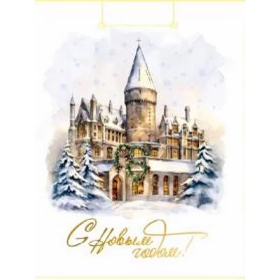 Optima Пакет подарочный с глянц.ламинац.18x23x8см(M) Блеск замка,128г(собст.раз.) ПКП-6657