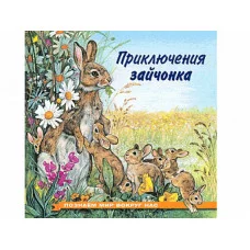 ФЛАМИНГО. ПМВН. Приключения зайчонка