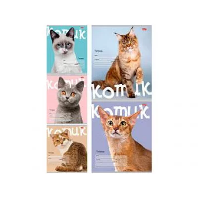 Тетрадь КЛЕТКА 24л. КОТИК НА ЦВЕТНОМ ФОНЕ (24-5770) обл.-мелов. картон, 24-5770