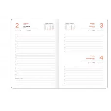 Ежедневник датированный 2026г., А5, 176л., твердый переплет, кожзам, BG "Nebraska. Black", черный 380097