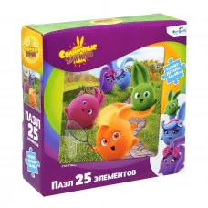 Солнечные зайчики.Пазл..25Эл.Вид 1.06543