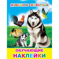 Книжка с картинками. Домашние животные 0+