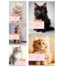 Тетрадь КЛЕТКА 18л. ФОТО КОТИКОВ (18-5587) цвет.мелов.обл. 18-5587