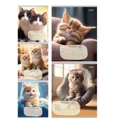 Тетрадь ЛИНИЯ 24л. ДОМАШНИЕ КОШЕЧКИ (24-5798) цвет.мелов.обл. 24-5798