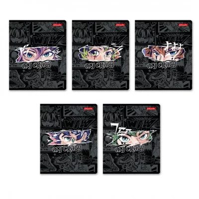 Тетрадь 48л линейка мелов "Я-крейзи" ассорти (5диз) 65г/м2 СВЕТОЧ 48ТЕТл-001 000755 226963