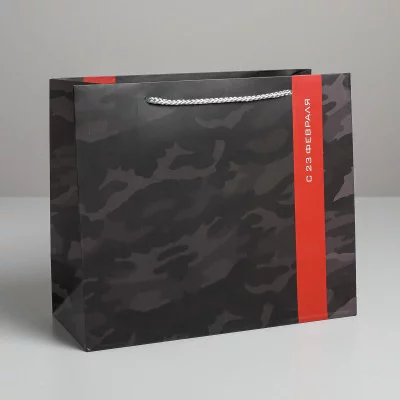 Пакет ламинированный горизонтальный «С 23 февраля», ML 27 × 11,5 см 5187557