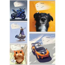 Тетрадь КЛЕТКА 18л. МИКС-4289 (18-4311) обл.-мелов.картон. TМ"Profit" 244984