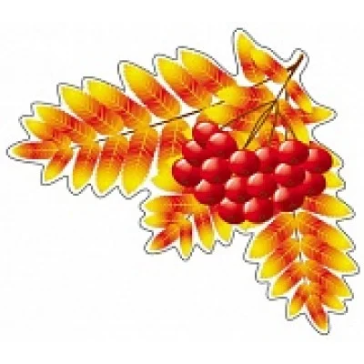 М-9290 Мини открытка Листочки Рябина / (о) Детский сад Сфера