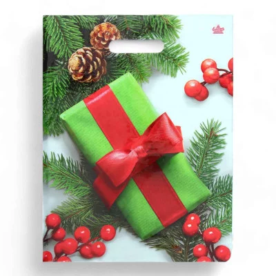 Пакет с прорубной ручкой ТИКО Калина в подарок 40*31 18008