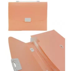 Папка портфель 12 отд. DD-207 Пластиковый, с застежкой и ручкой, ассорти 326253